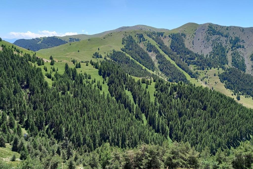 Studio Au Coeur De Valberg A Proximite Des Pistes Esterno foto