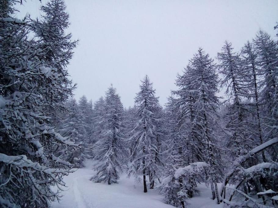 Studio Au Coeur De Valberg A Proximite Des Pistes Esterno foto